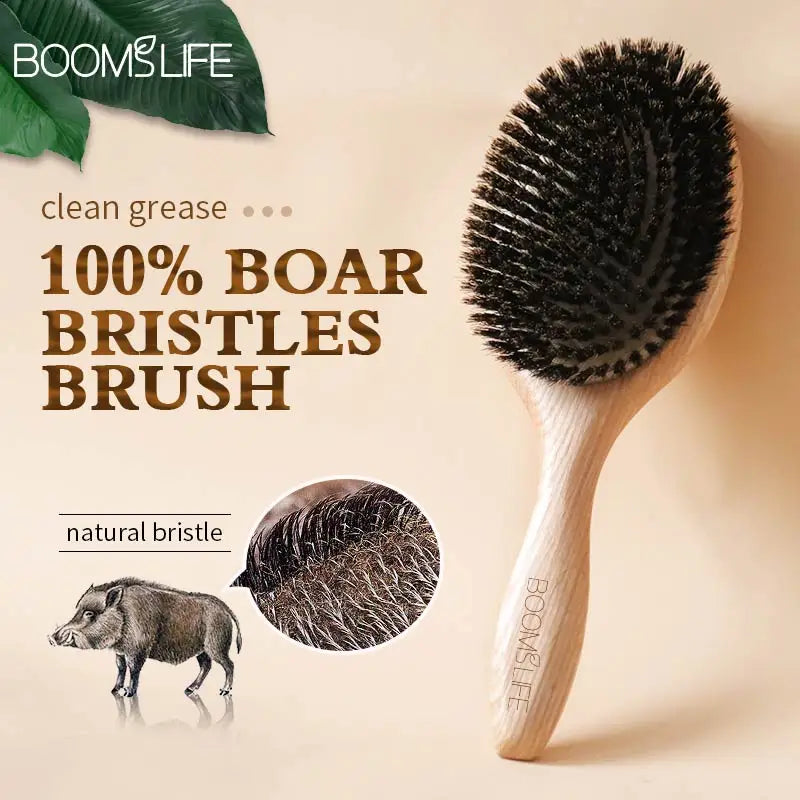 Boar Bristle HairBrush Wood Hair Brush Peine OAK Wood Combs for Women Barber Beauty Care Paddle Scalp Massage Brush